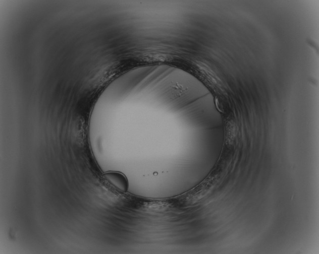X0000091930414200709191404