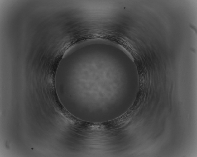 X0000091930415200709191404