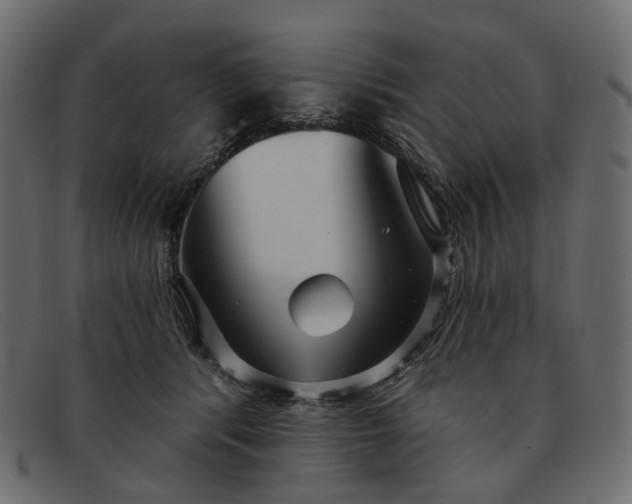 X0000091930416200709191404
