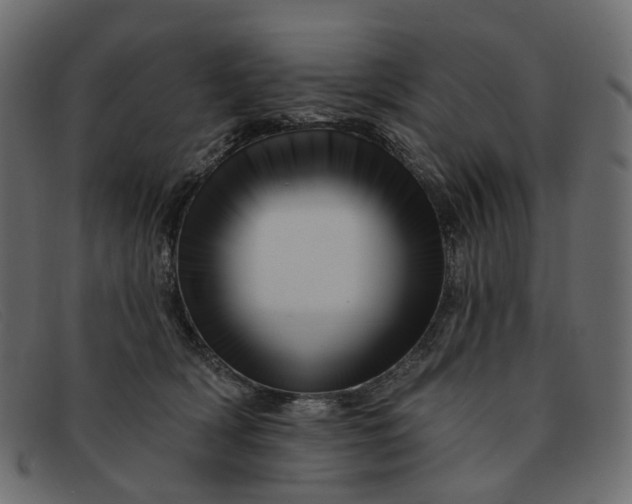 X0000091930418200709191404
