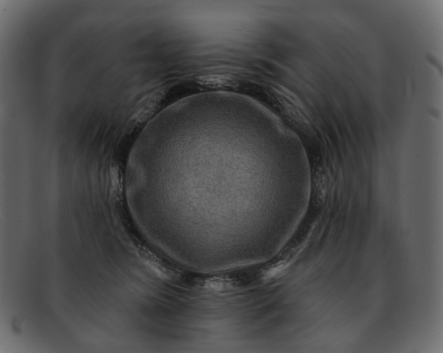 X0000091930420200709191404