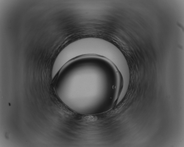 X0000091930421200709191404