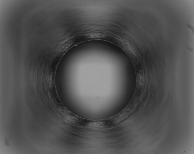 X0000091930422200709191404