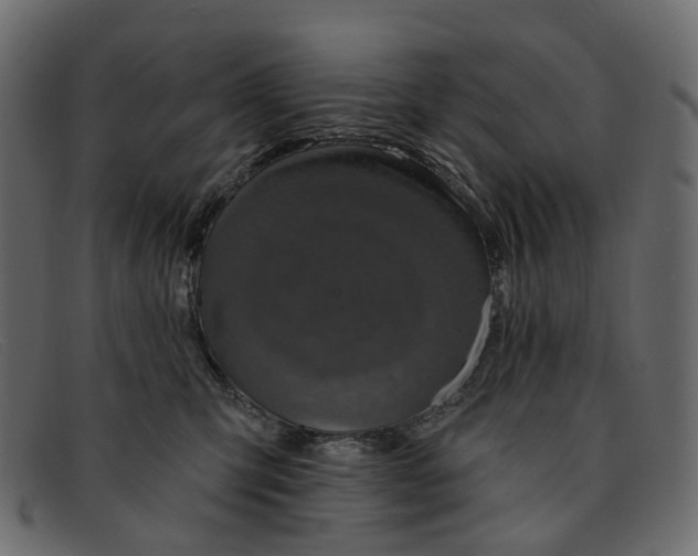 X0000091930423200709191404