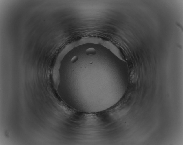 X0000091930424200709191404