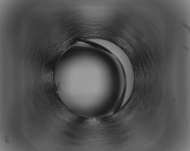 X0000091930425200709191404