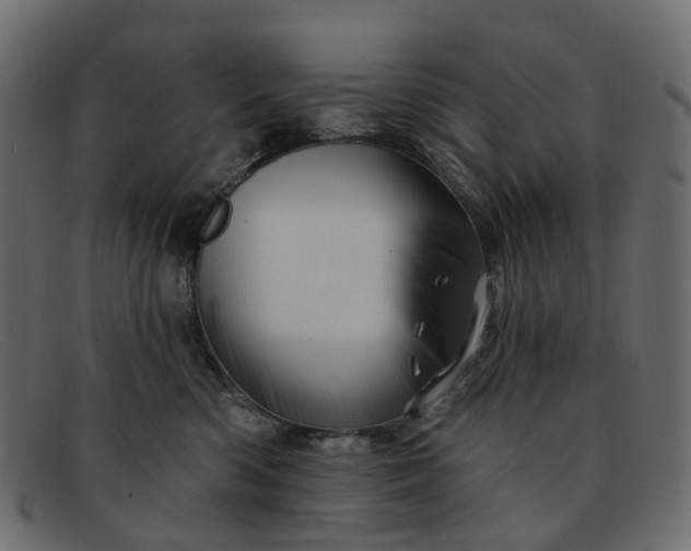 X0000091930426200709191404