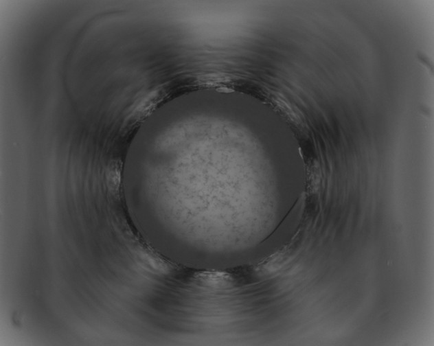 X0000091930427200709191404