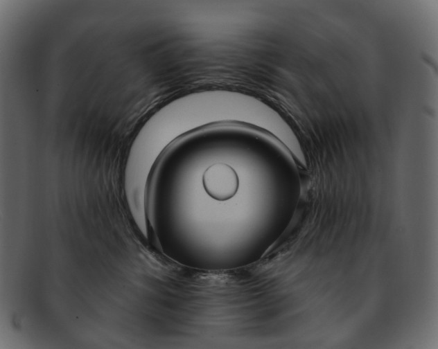 X0000091930428200709191404