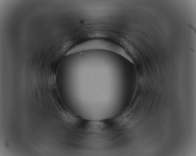 X0000091930429200709191404