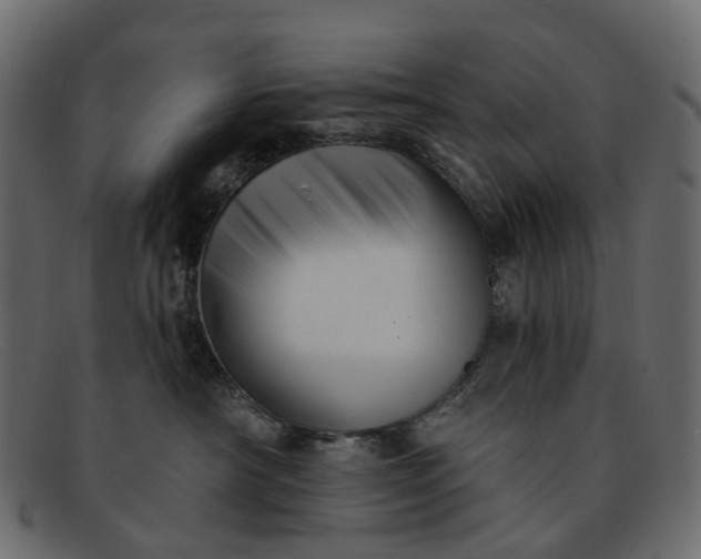 X0000091930430200709191404