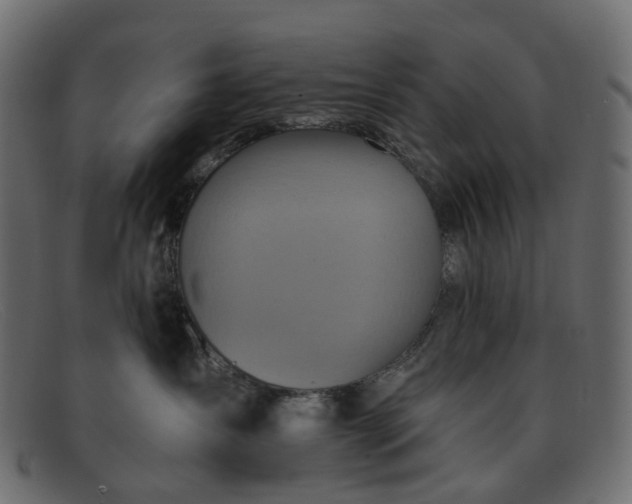 X0000091930431200709191404