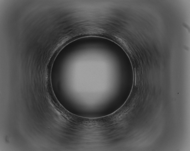 X0000091930435200709191403