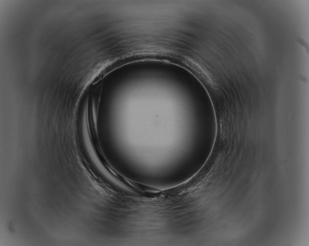 X0000091930436200709191403