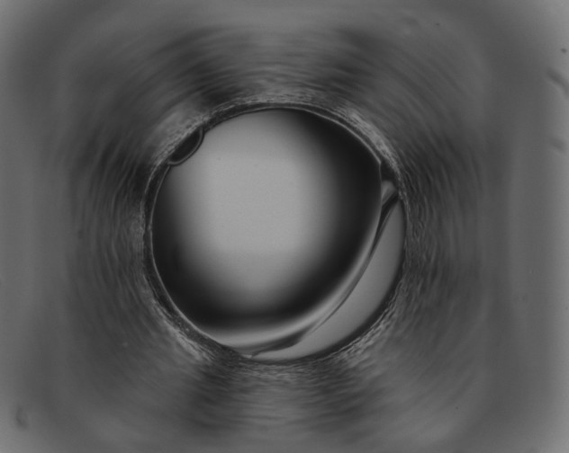 X0000091930437200709191403
