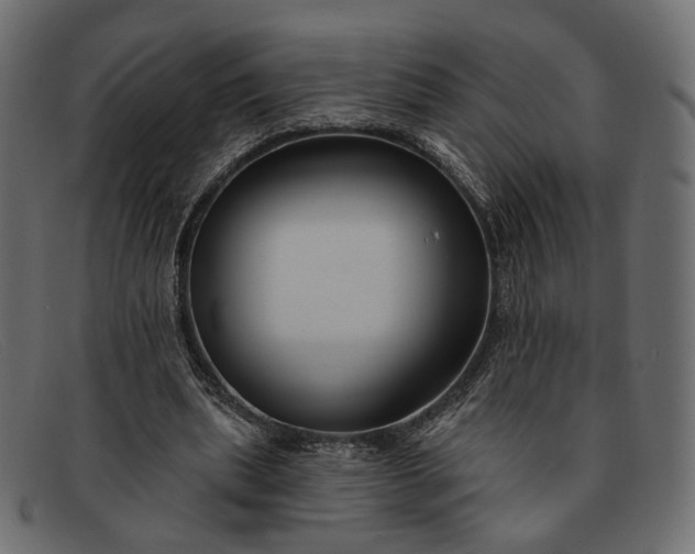 X0000091930439200709191403