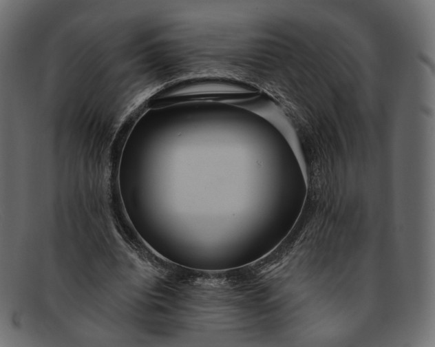 X0000091930440200709191403
