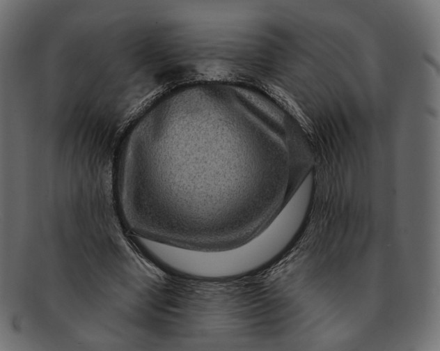 X0000091930442200709191403