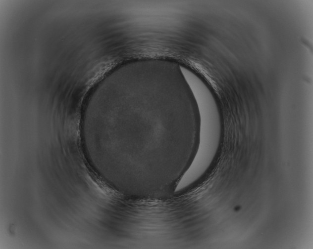 X0000091930443200709191403