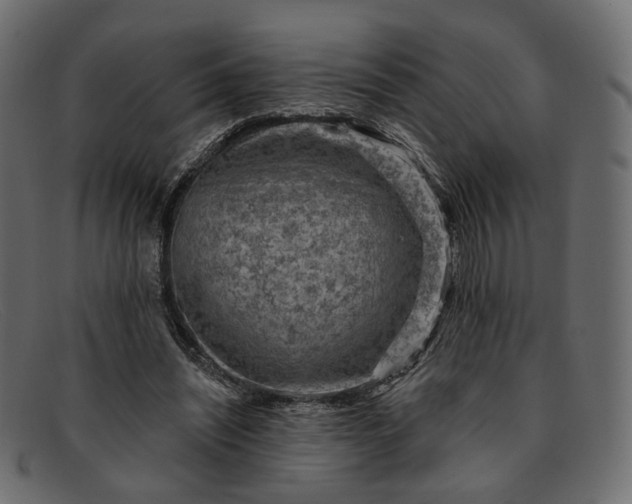 X0000091930444200709191403