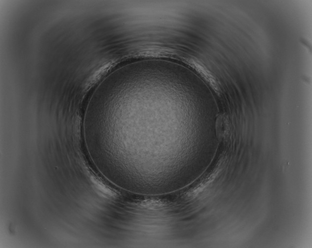 X0000091930445200709191403