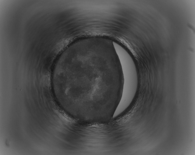 X0000091930447200709191403