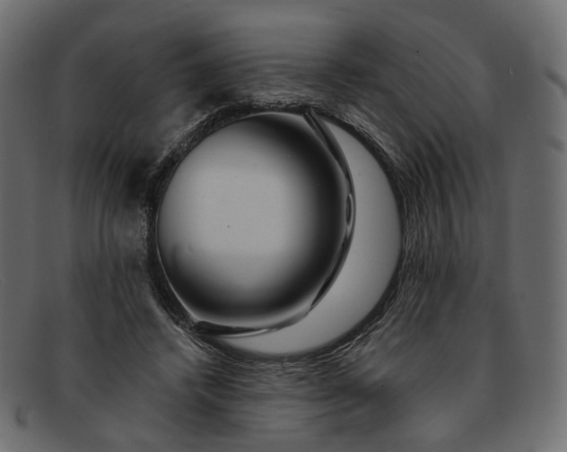 X0000091930448200709191403