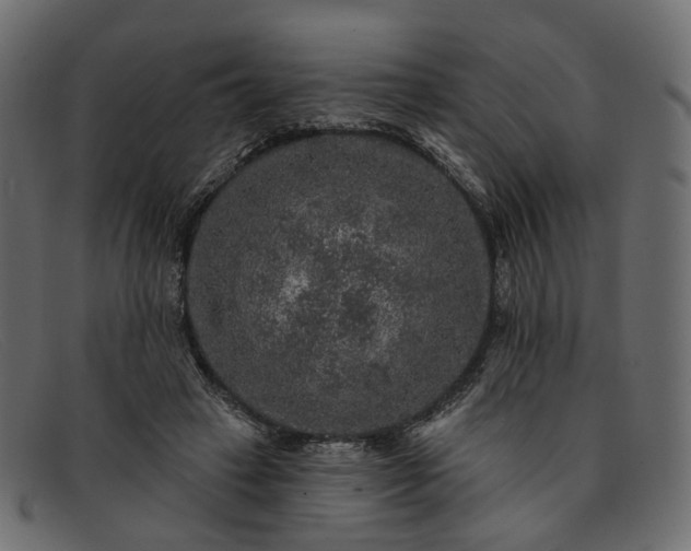 X0000091930449200709191403