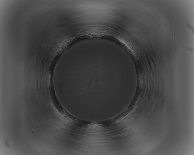 X0000091930451200709191403