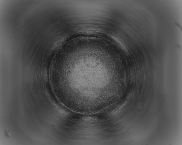 X0000091930453200709191403