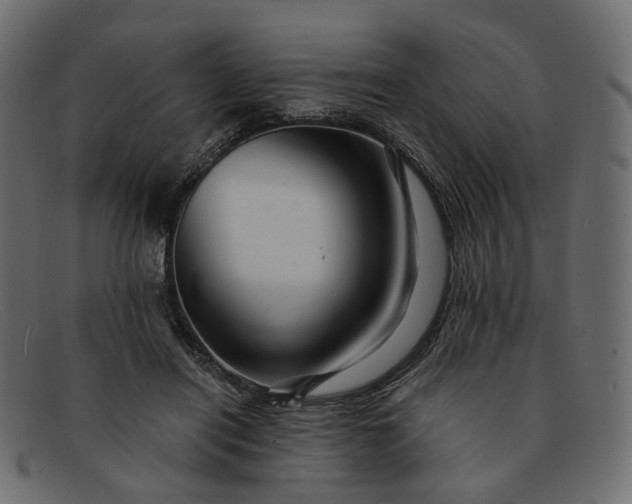 X0000091930454200709191403