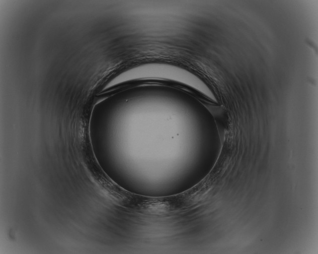 X0000091930456200709191403