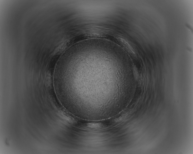 X0000091930457200709191403