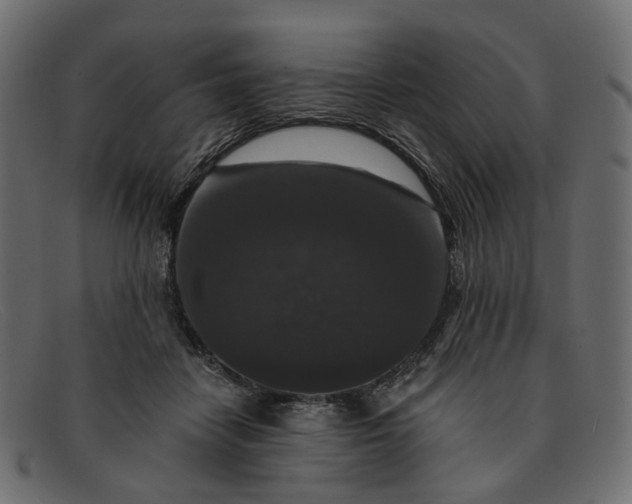 X0000091930458200709191403