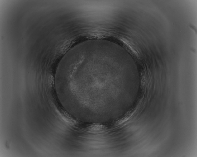 X0000091930459200709191403