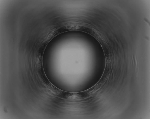 X0000091930460200709191403
