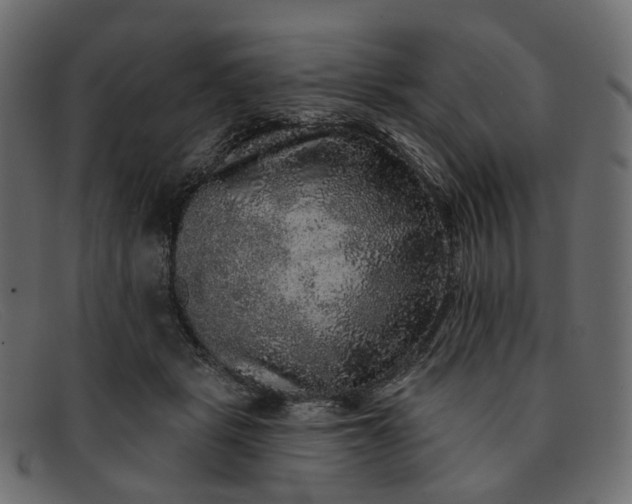 X0000091930461200709191403