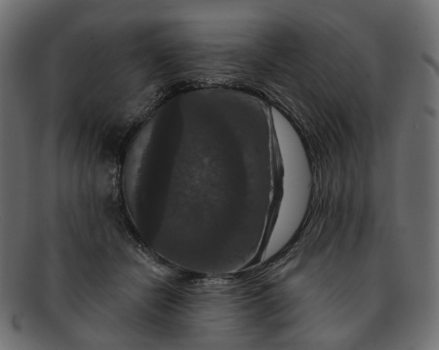 X0000091930462200709191403