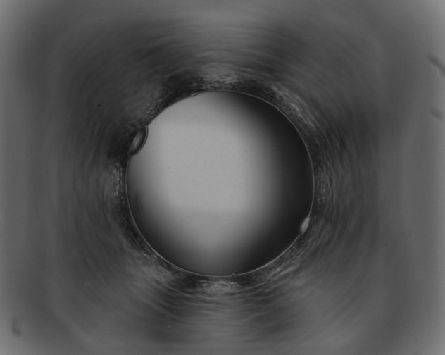X0000091930463200709191403