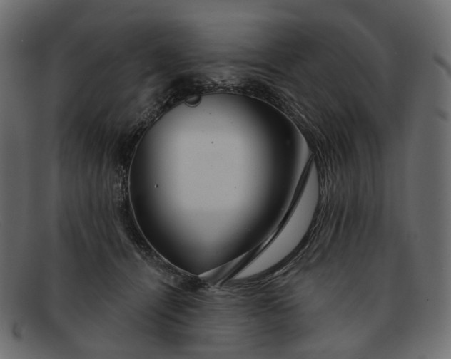 X0000091930464200709191403