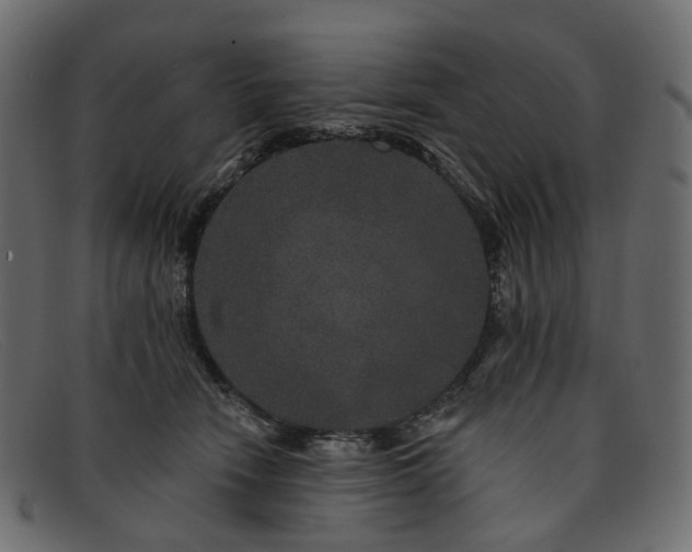 X0000091930466200709191403