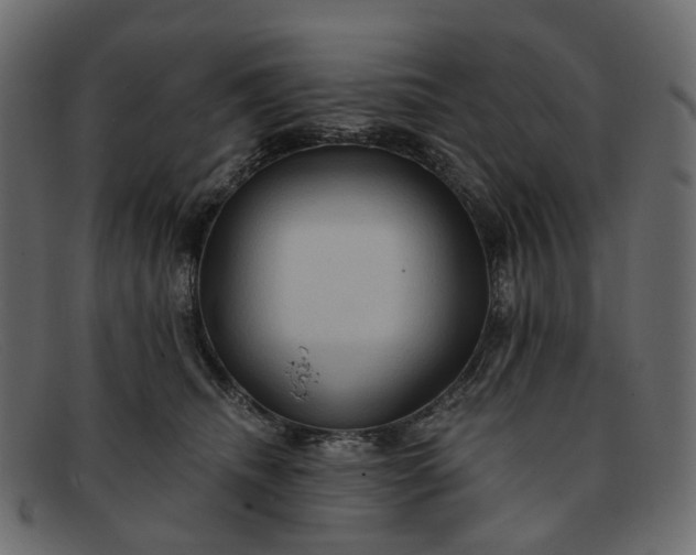 X0000091930468200709191403