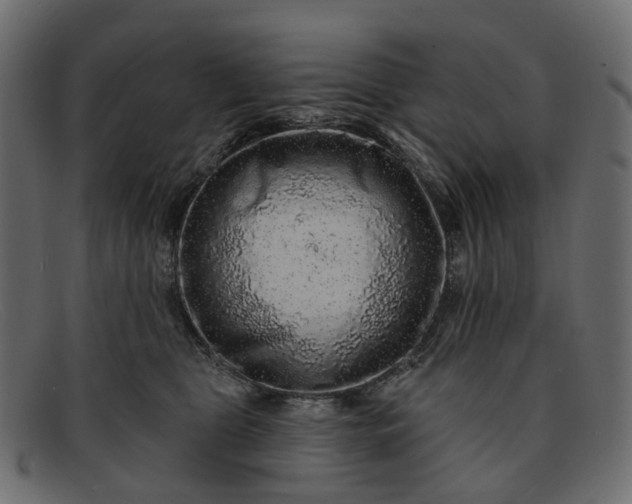 X0000091930469200709191403