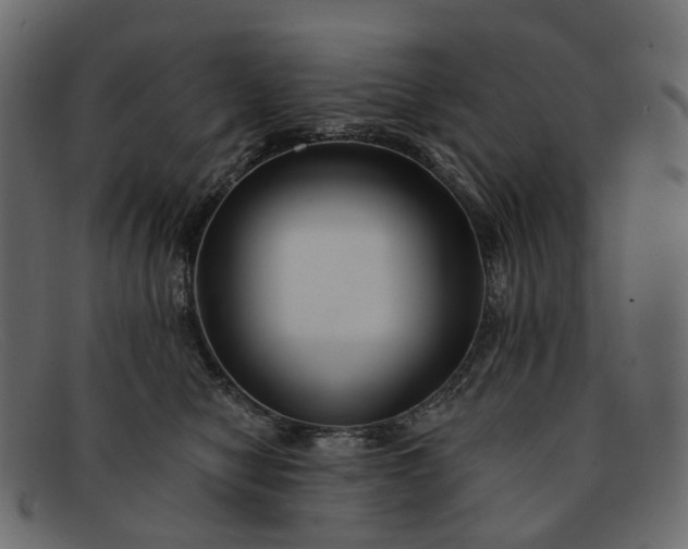 X0000091930470200709191403