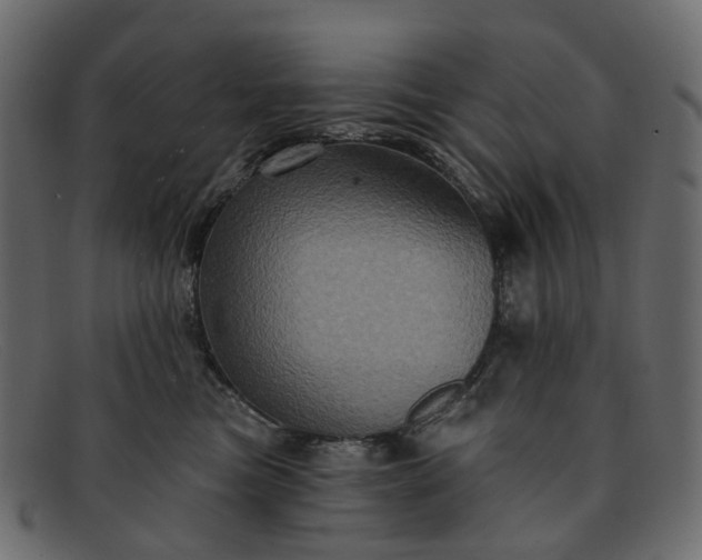 X0000091930473200709191403
