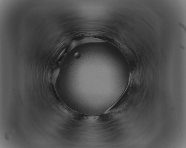 X0000091930474200709191403
