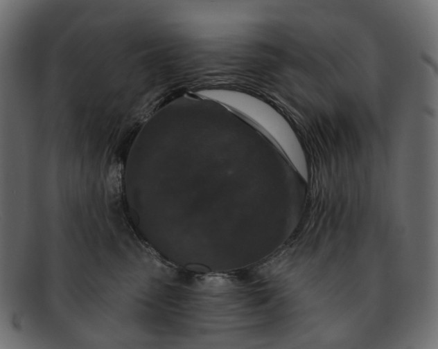 X0000091930475200709191403