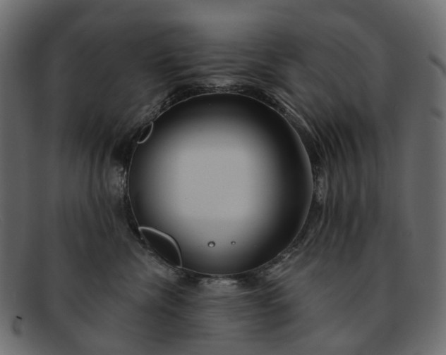 X0000091930476200709191403