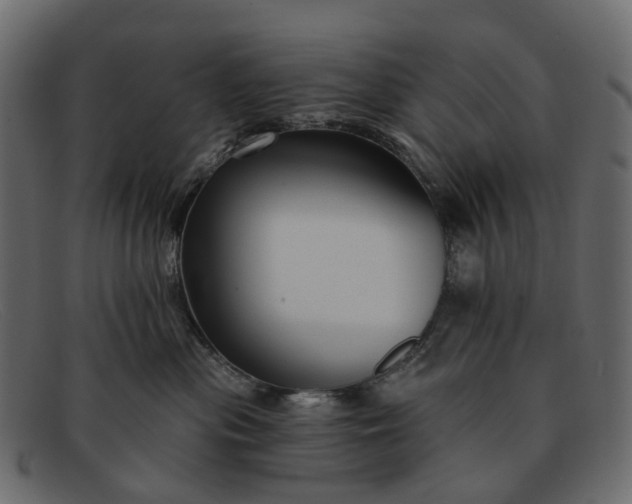 X0000091930477200709191403