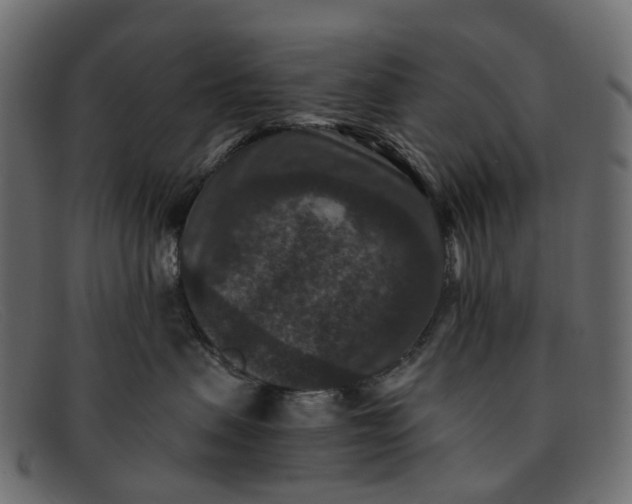 X0000091930479200709191403